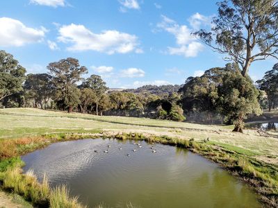 234 Kippings Road, Strathbogie