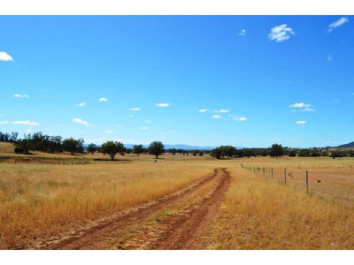 1172 Wandobah Road, Gunnedah