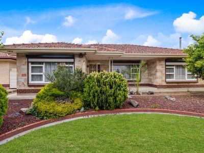 18 Andrea Avenue, Newton