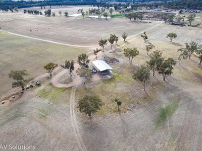 Parkes