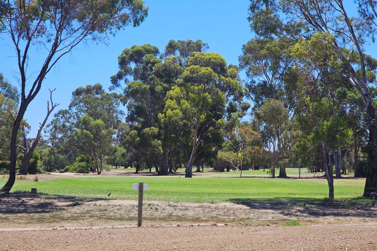 9 Belthorpe Drive, Kyabram