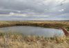 St Helens Plains