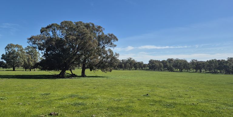 Lot 1  10 Dunnings Road, Balmattum