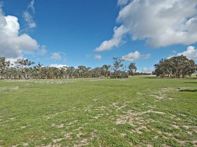 18717 / Mawson Dodenanning Road, Quairading