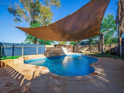 31 Limpet Crescent, South Hedland