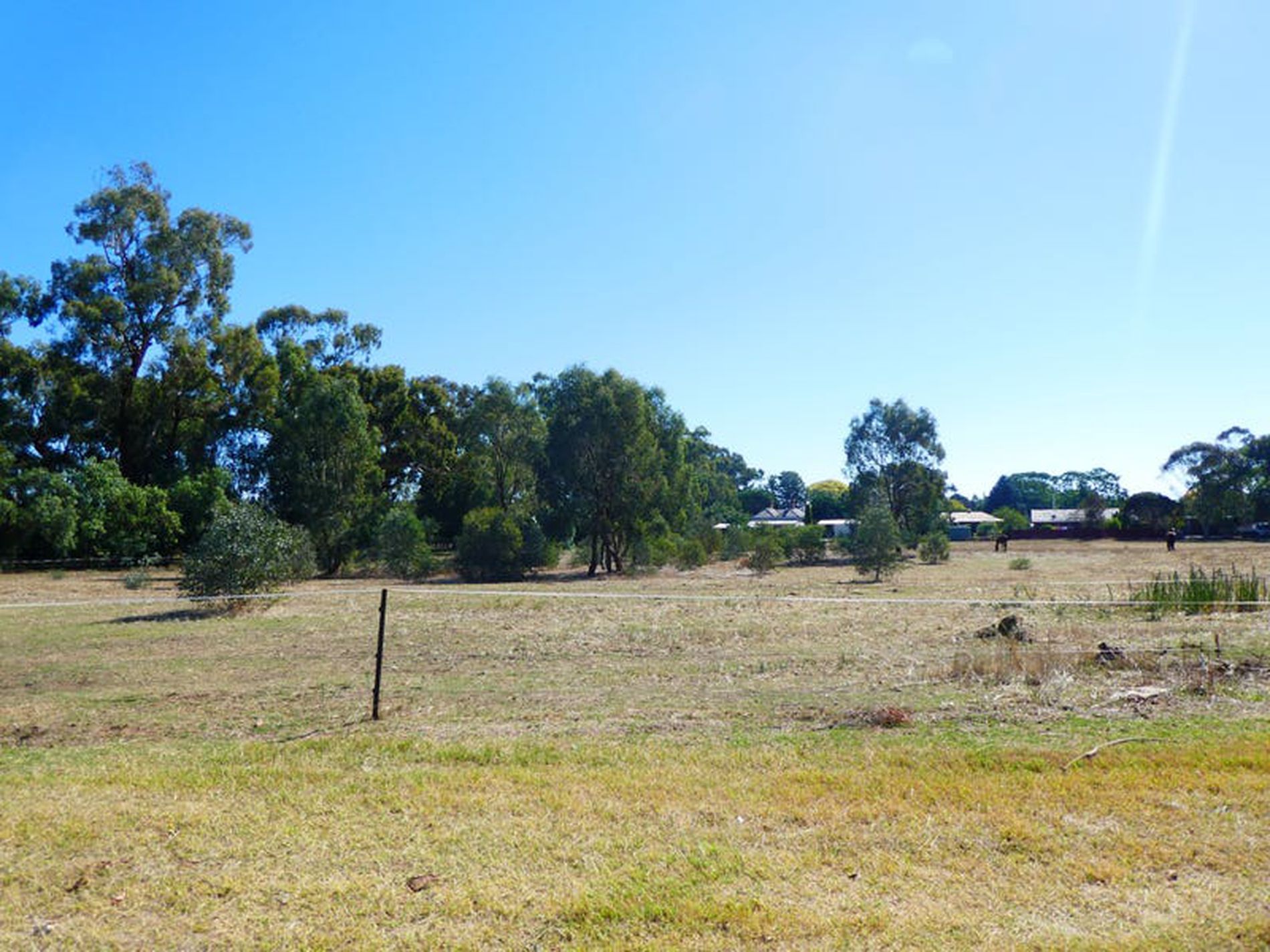 8 Pinniger St, Avenel