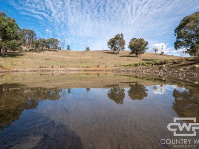 Lot 21 Halls Creek Road, Bendemeer
