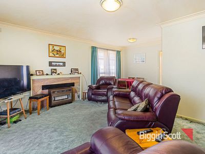 43 Hibiscus Road, Blackburn North