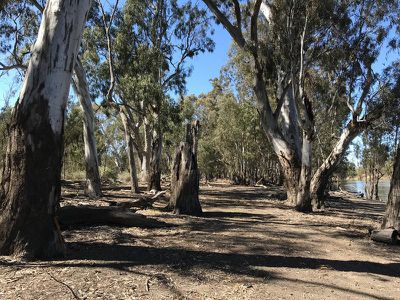 Lot 15 Edward River Road, Moulamein