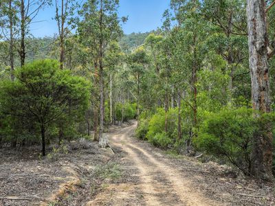 Lot 1, Rifle Range Road, Cygnet