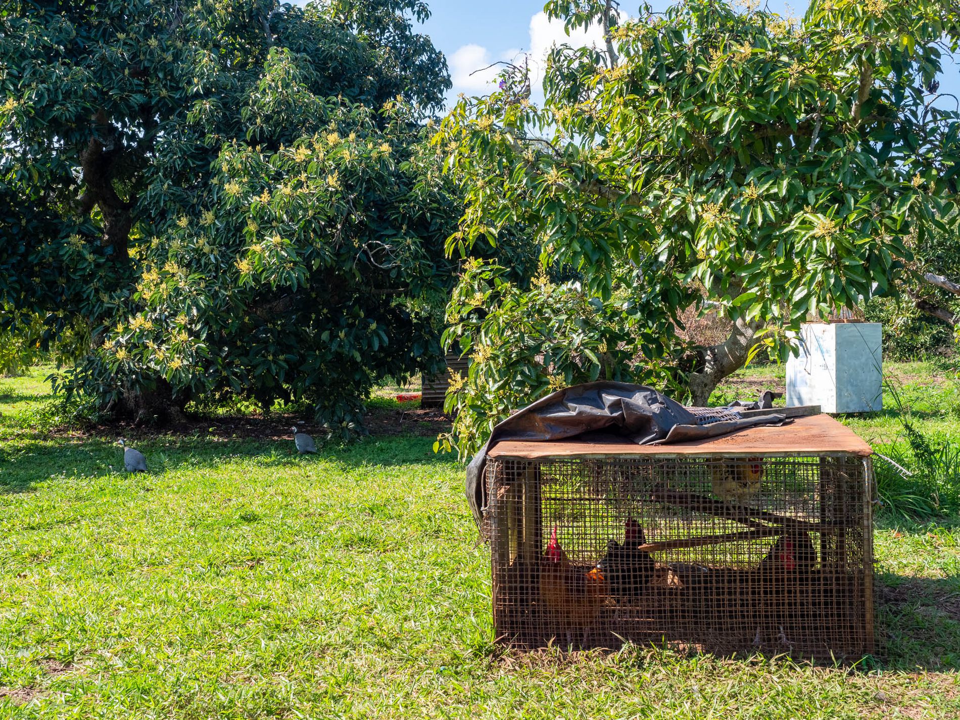 61-67 Kings Road, Russell Island