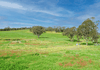 5933 Henry Parkes Way, Manildra