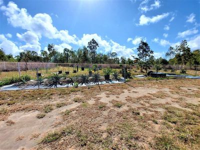 Lot 7 Mount Amos Road, Cooktown