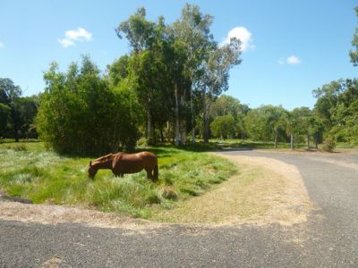 Lot 15, Slaughter Yard Road, Cooktown