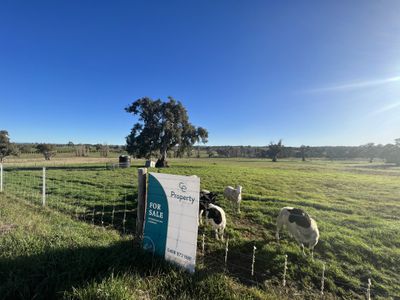 Lot 187, Vigars Road, Eden Valley