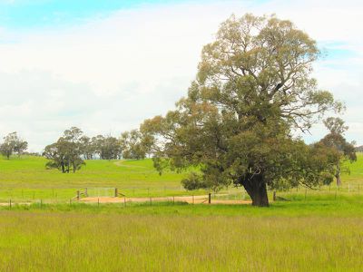5 Sunset Hills Road, Neville
