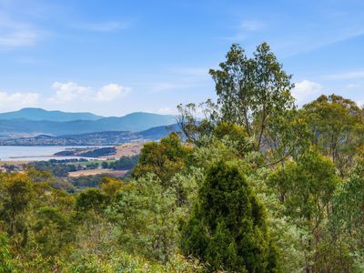 181 White Hill Road, Forcett