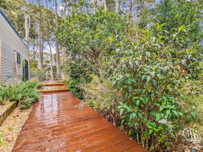 4 Lloyd Place, Mystery Bay