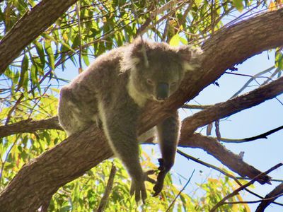 142 Wanganui Road, Wanganui