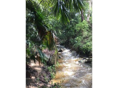 Kangaroo Valley
