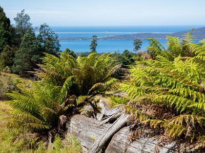 Lot 1, Dulcia Road, Gordon