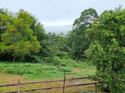 573 Blue Knob Road, Blue Knob