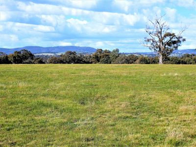 225 Hall Lane, Seymour