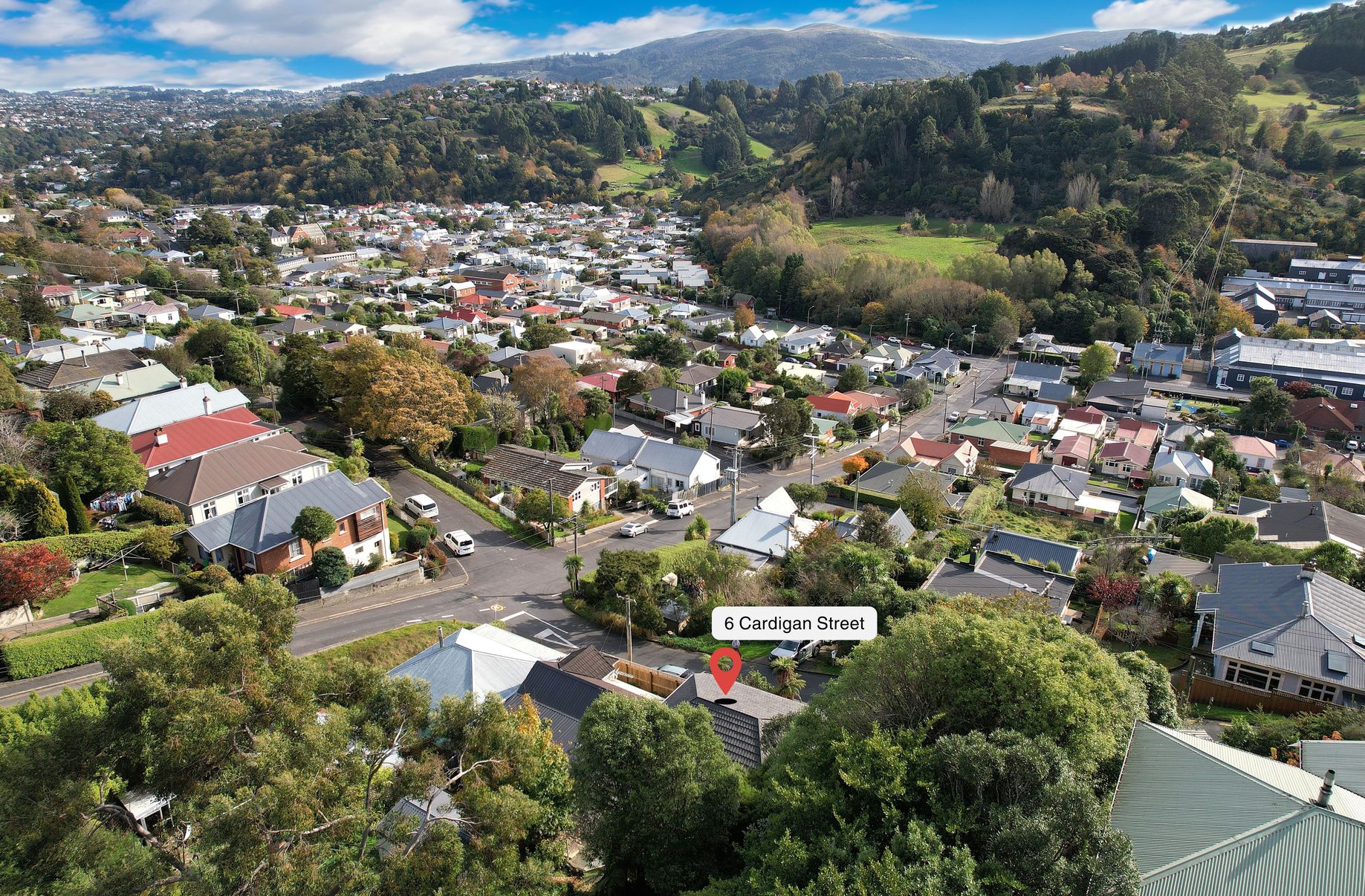 6 Cardigan Street, North East Valley