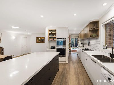 7 Black Wattle Place, Somerville