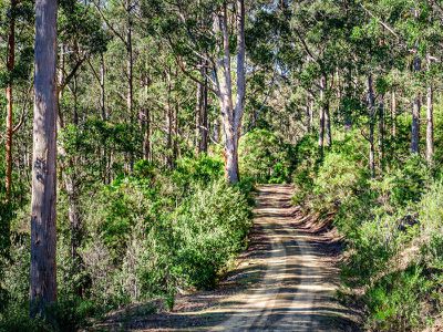 634 Tobys Hill Road, Cygnet