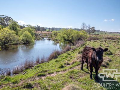 1067 Shannon Vale Road, Shannon Vale