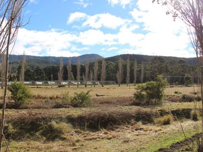 33 Smiths Road, Huonville