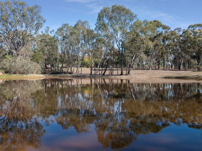 97 McCarthy Drive, Heathcote