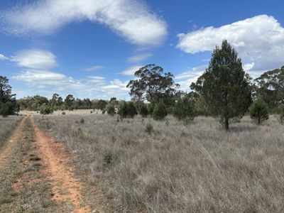 79 Mercadool Lane, Bogan Gate