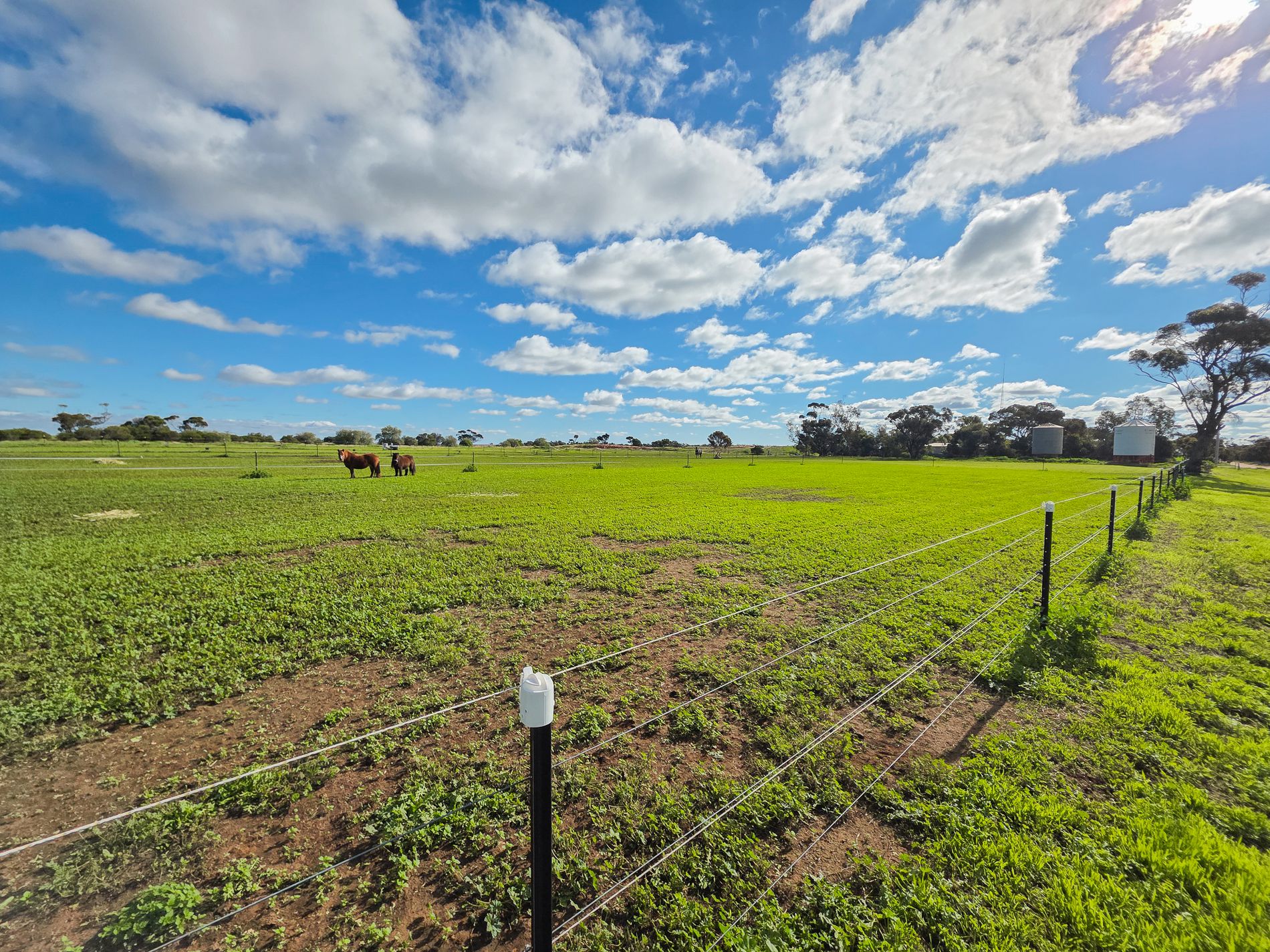 187 Cannie North Road, Cannie