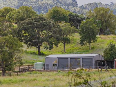 81 Kielys Road, Mooball