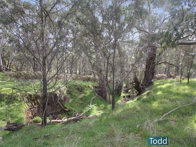 330 Paddys Dam Road, Tooborac