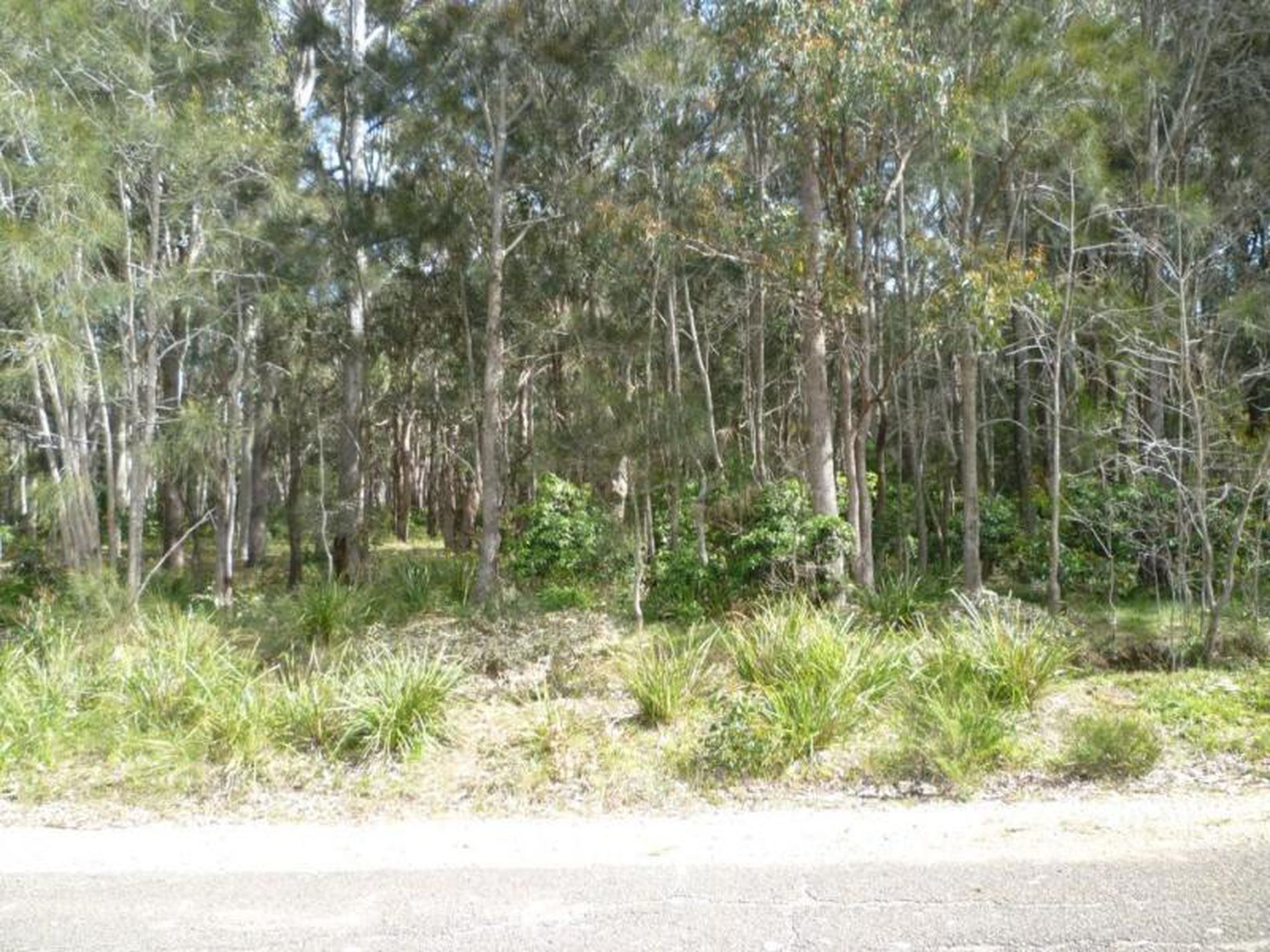 26 Butler Street, Kioloa