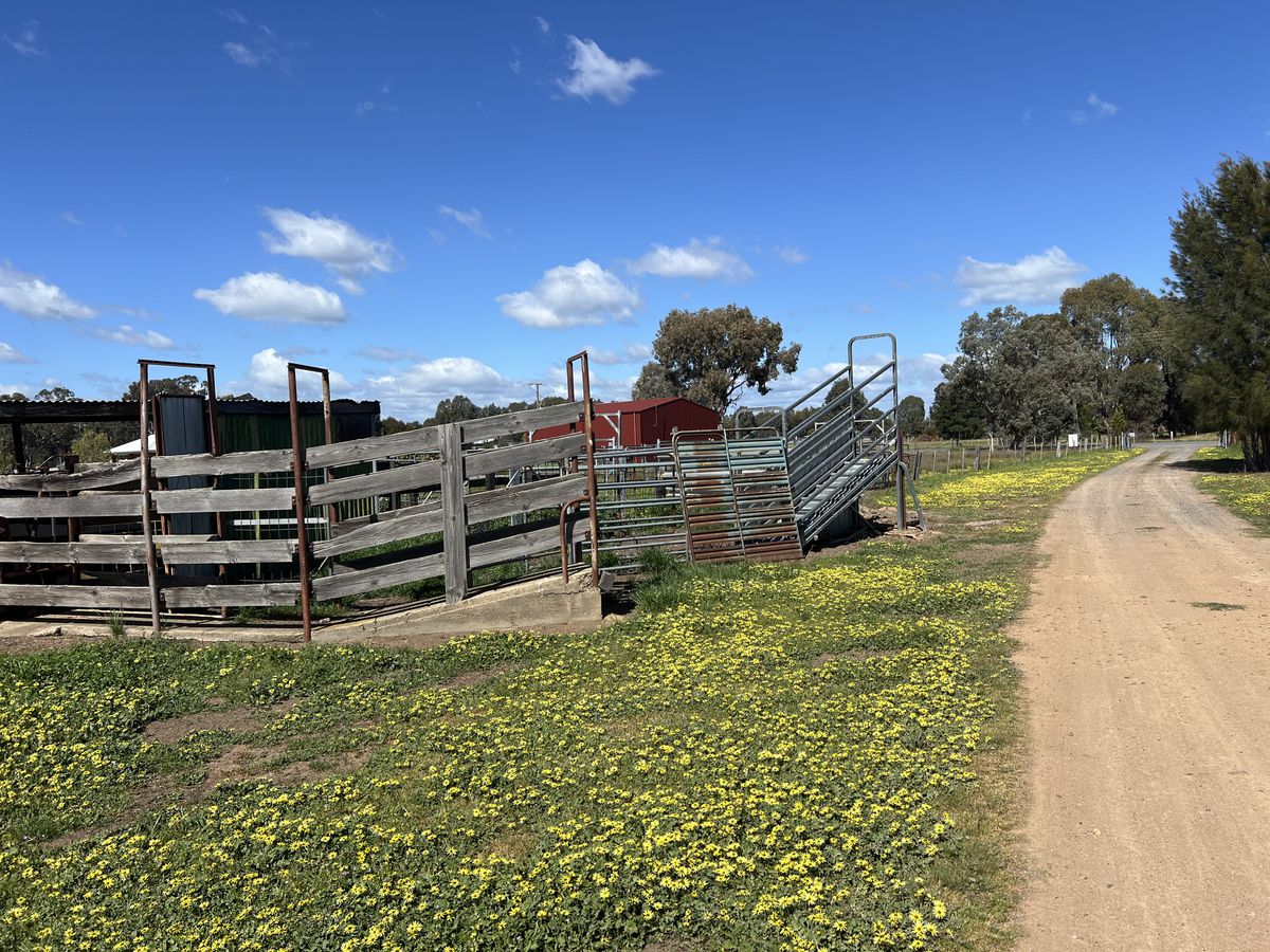 Lot 1, Dennis Road, Benalla