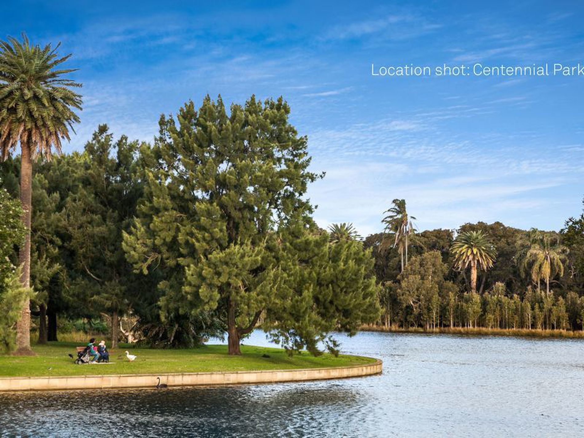 21 / 7-9 Alison Road, Kensington
