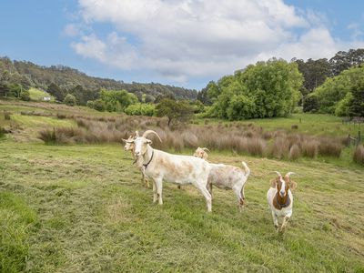 17 Reeves Lane, Dover
