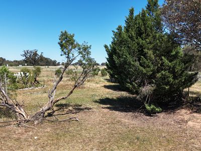 2200B Newell Highway, Tichborne