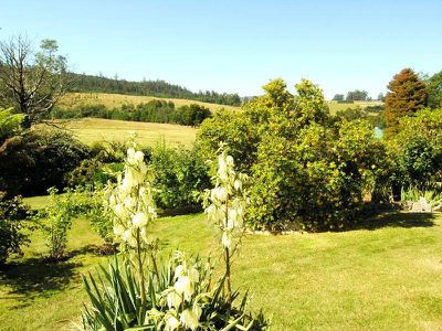 362 Arve Road, Geeveston