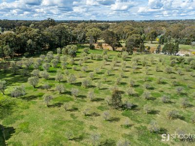 9R  Braithwaite Road , Wongarbon