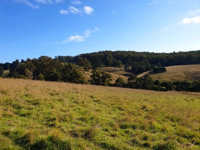 Lot 5 Wallace Road , Cygnet