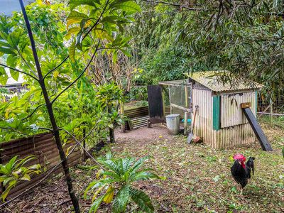 10 / 78 Cecil Street, Nimbin