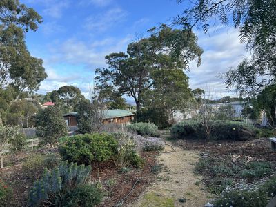 Dodges Ferry