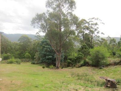 156 Kalonga Road, Nicholls Rivulet