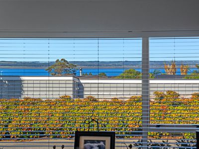 7 Omana Avenue, Shelly Beach, Helensville