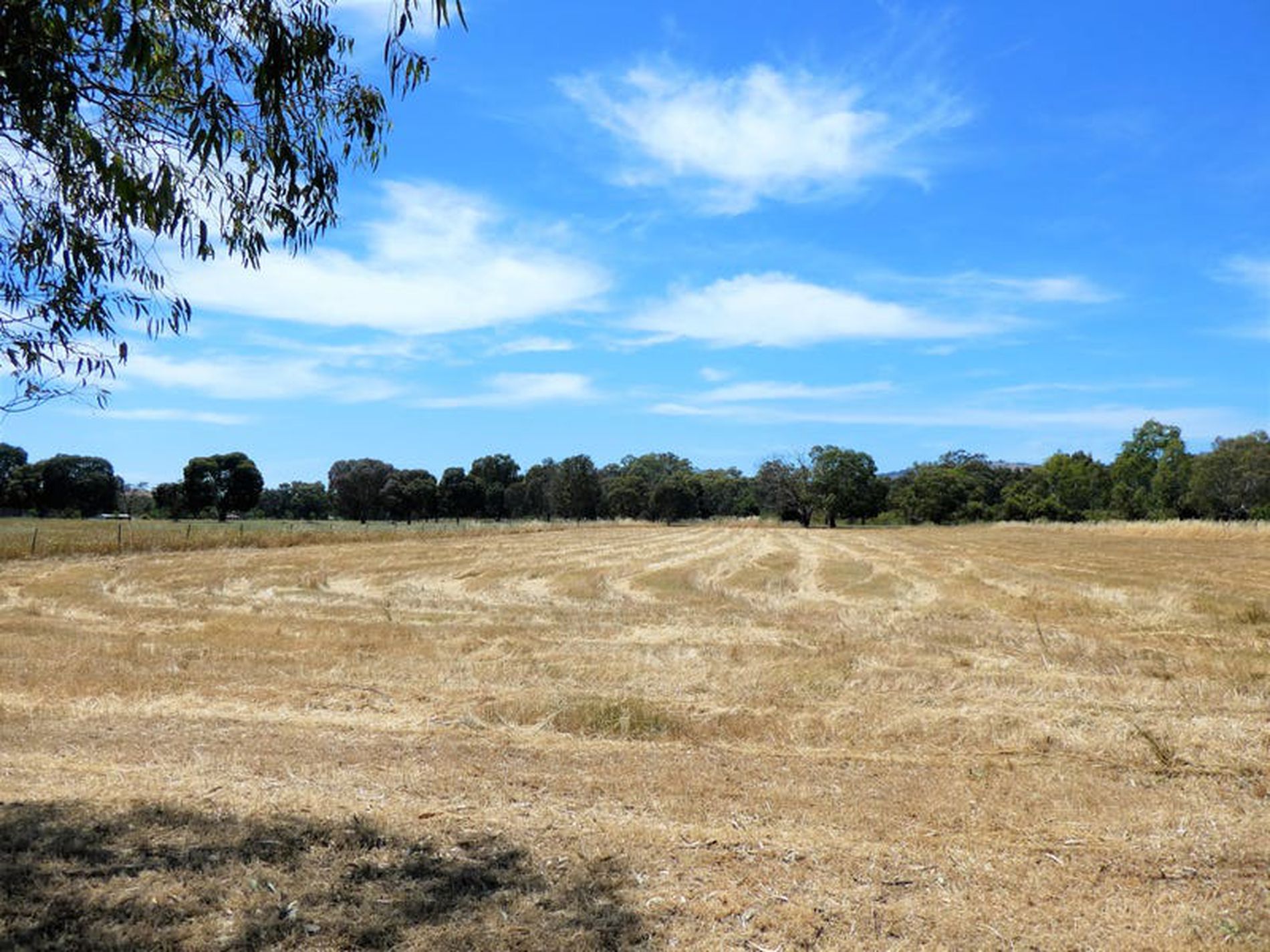 33 Jessups Lane, Avenel